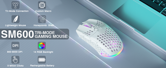 Precision Gaming Redefined: The SM600 Mouse