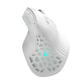 Solakaka E9 Vertical MMO Gaming Mouse
