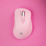 SM66 Wireless Gaming Mouse