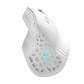 Solakaka E9 Vertical MMO Gaming Mouse